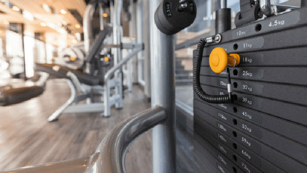 Fitness Industry